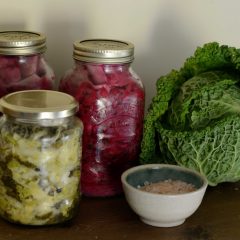 Fermented vegetables for probiotics