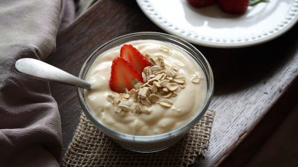 yogurt fermented foods
